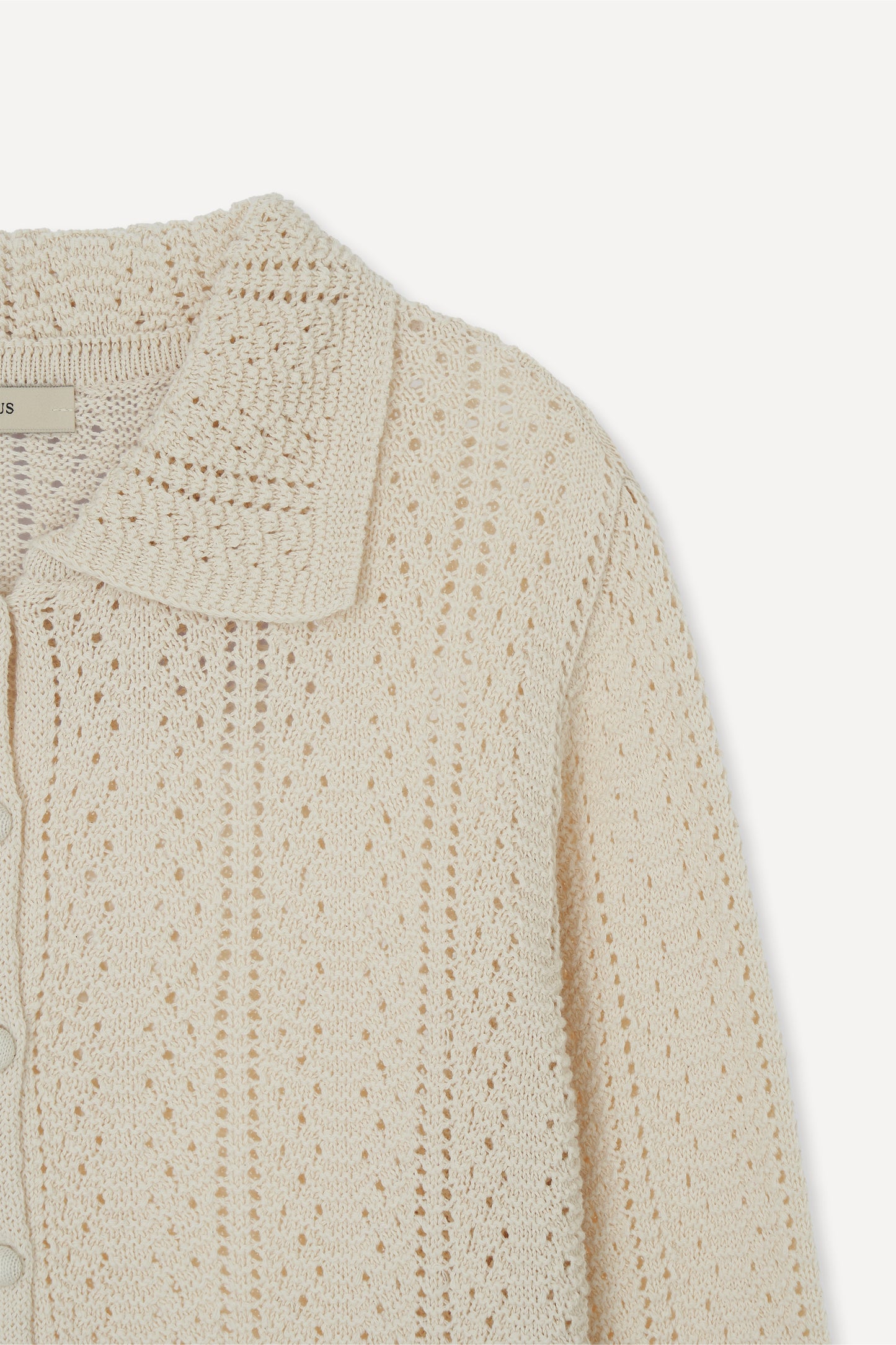 color_cream