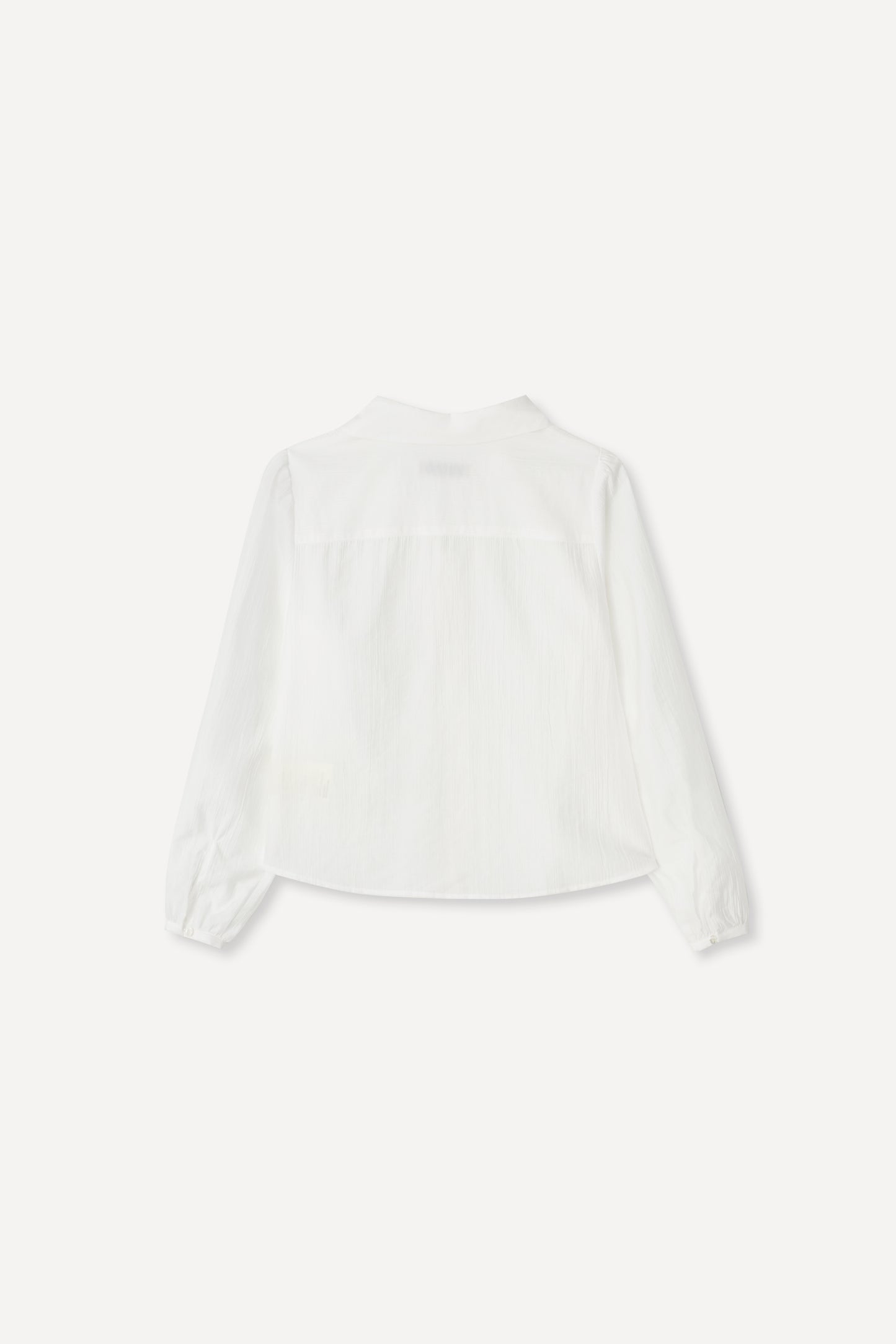 color_ivory