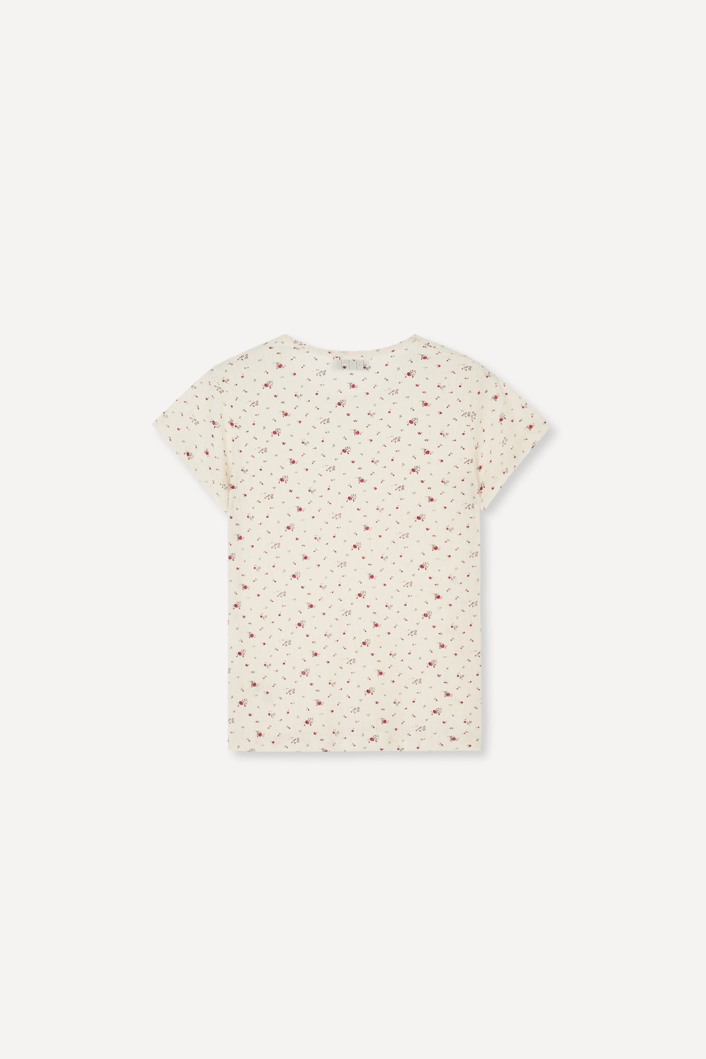 color_ivory