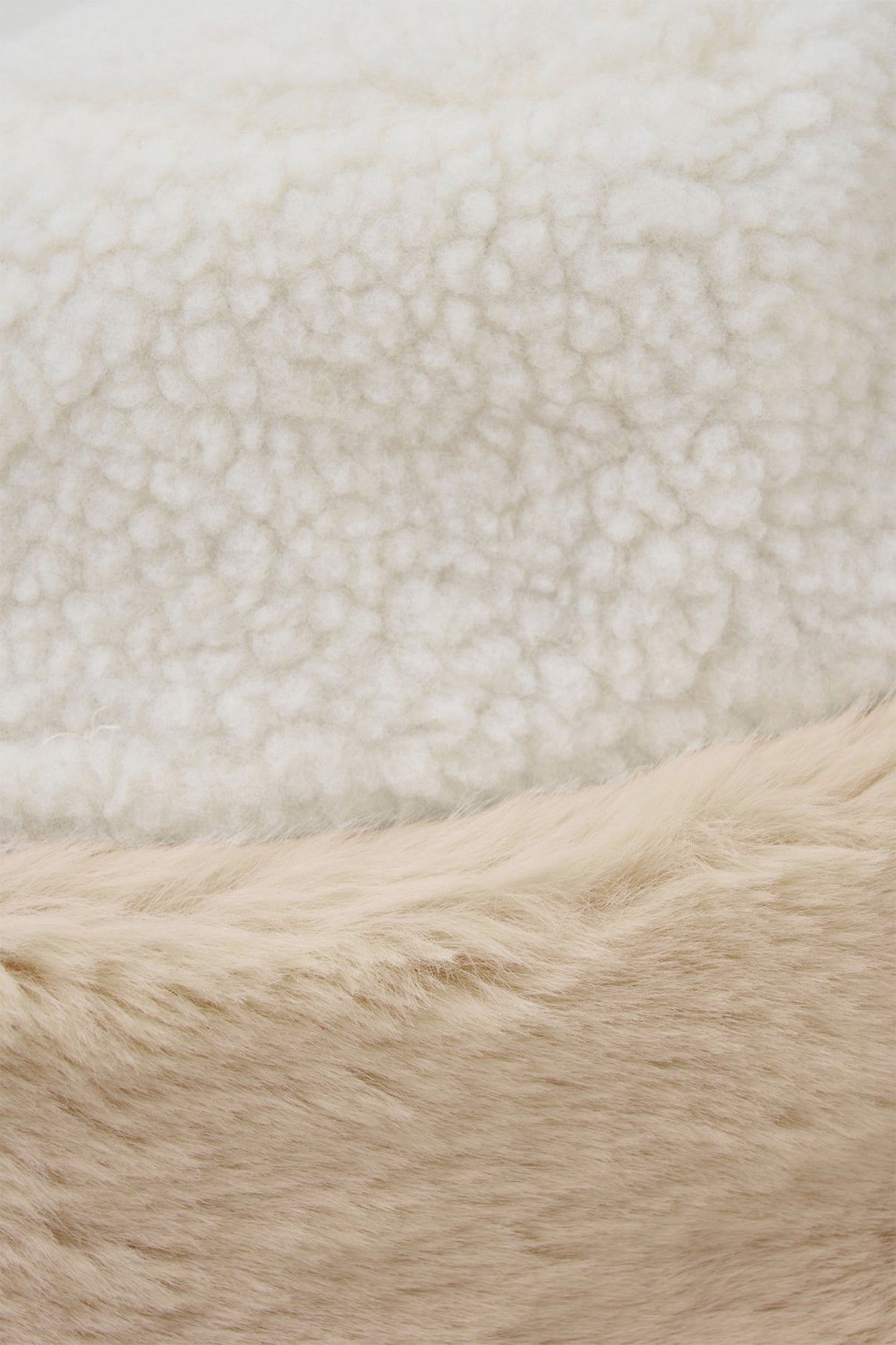 color_ivory