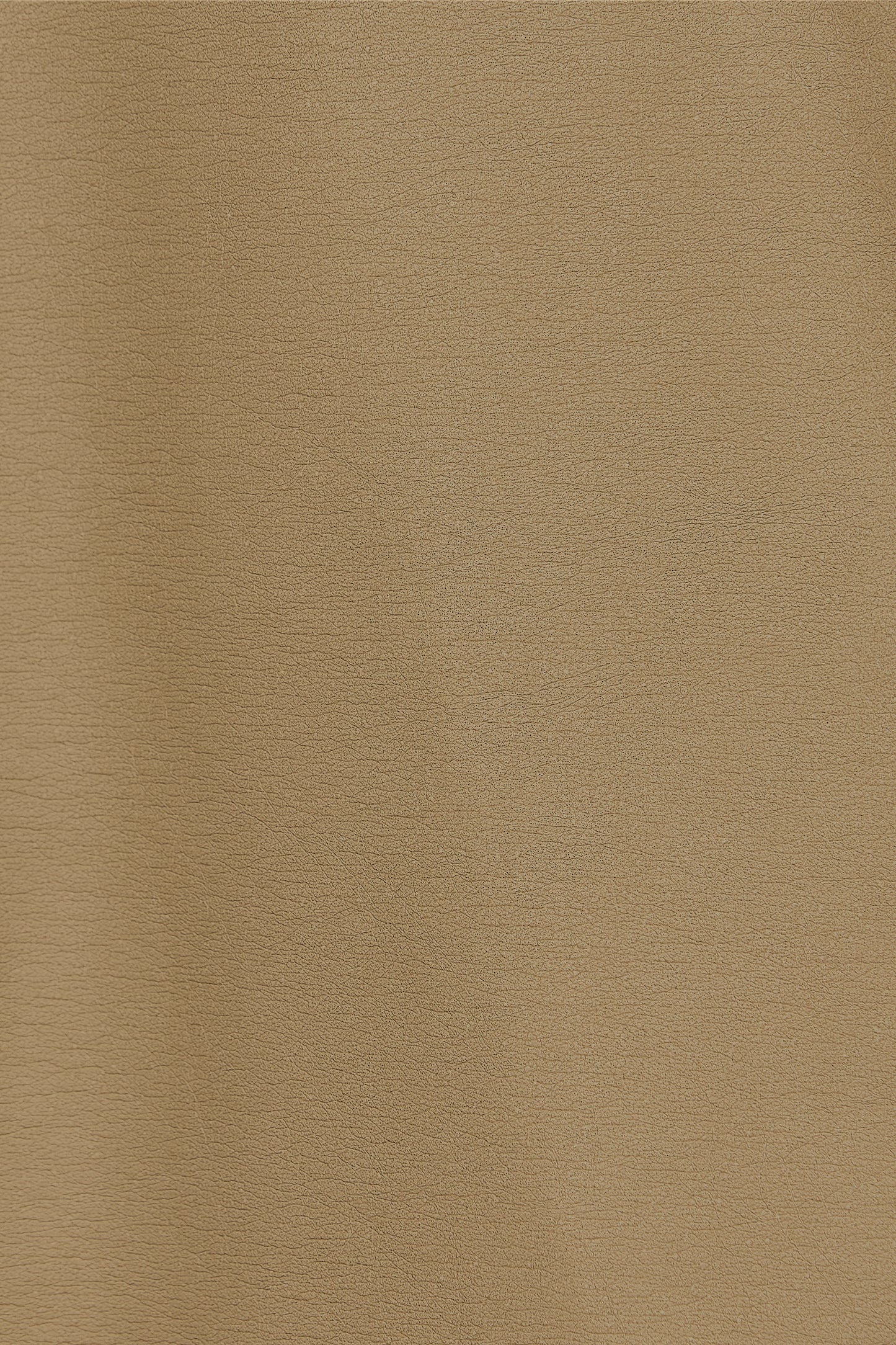 color_beige