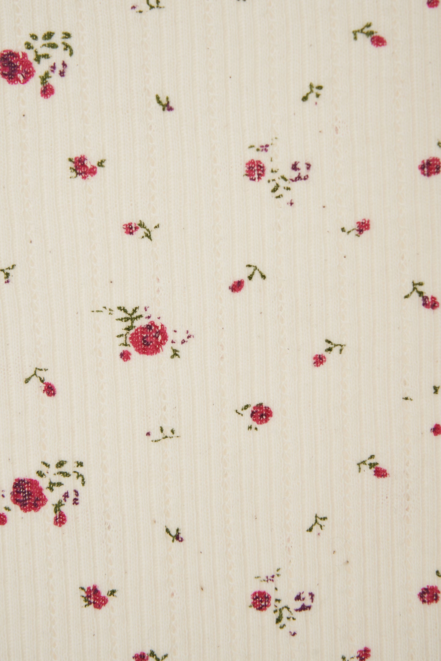 color_ivory