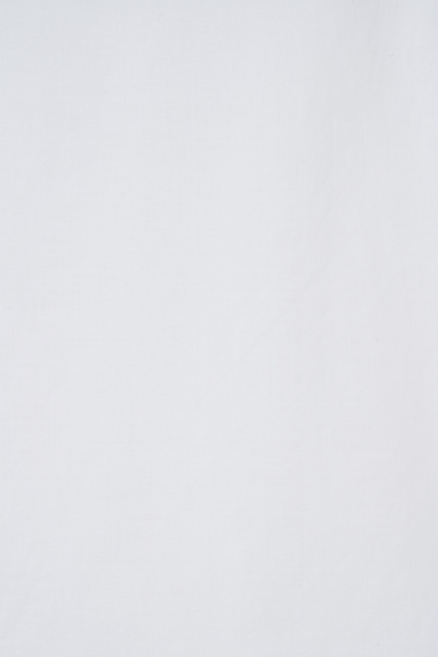 color_ivory