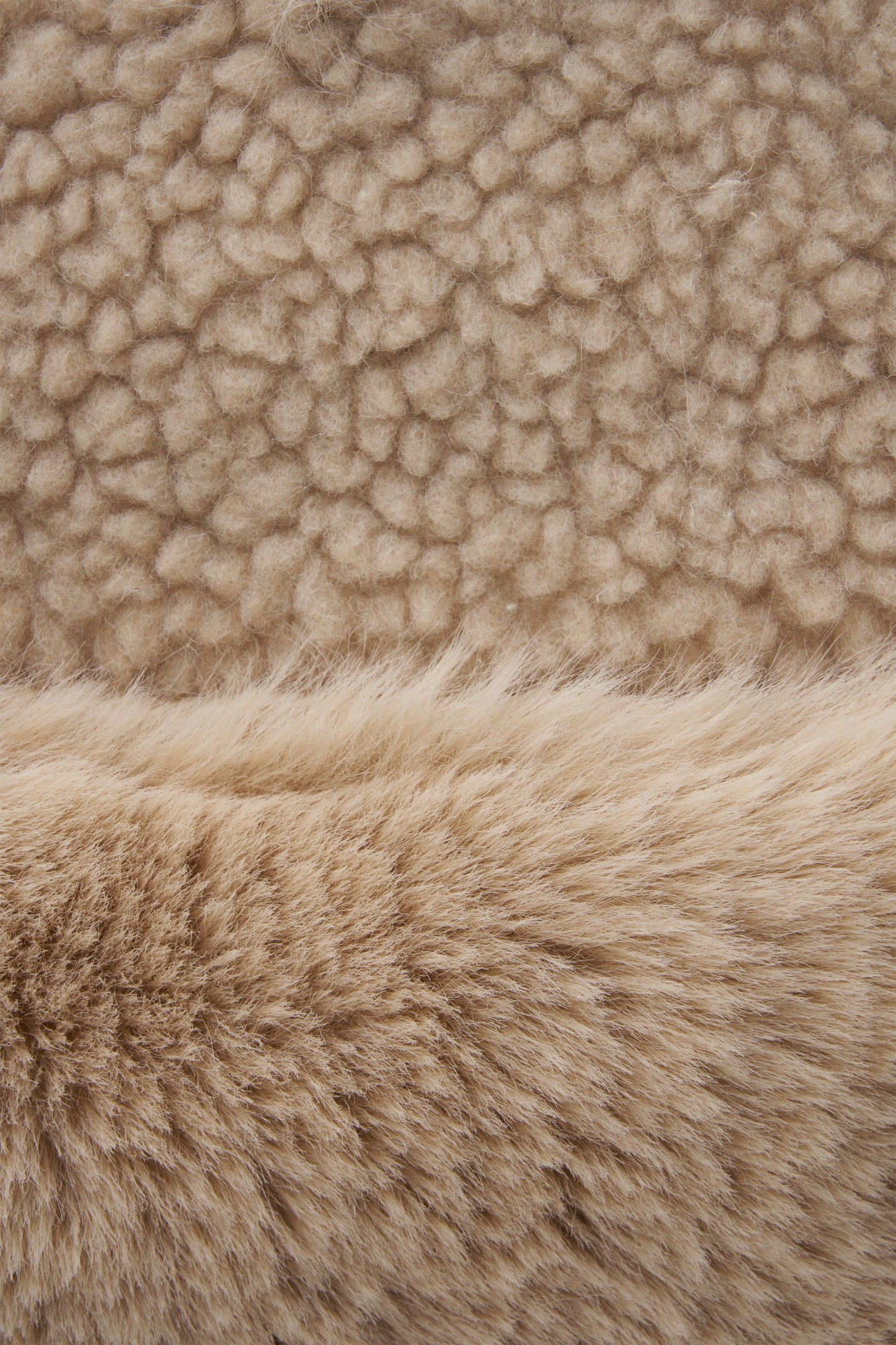 color_camel