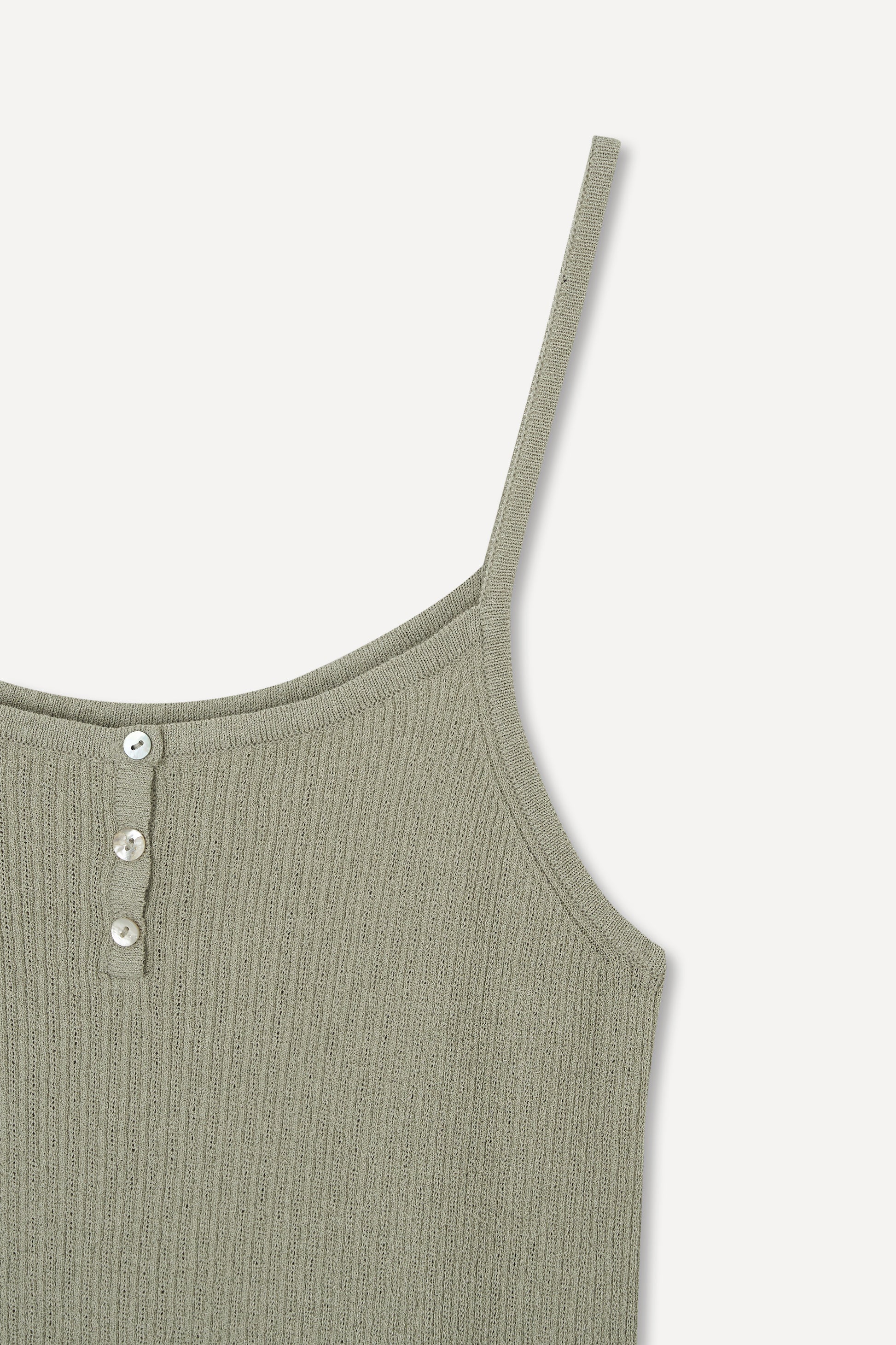 color_pale_olive