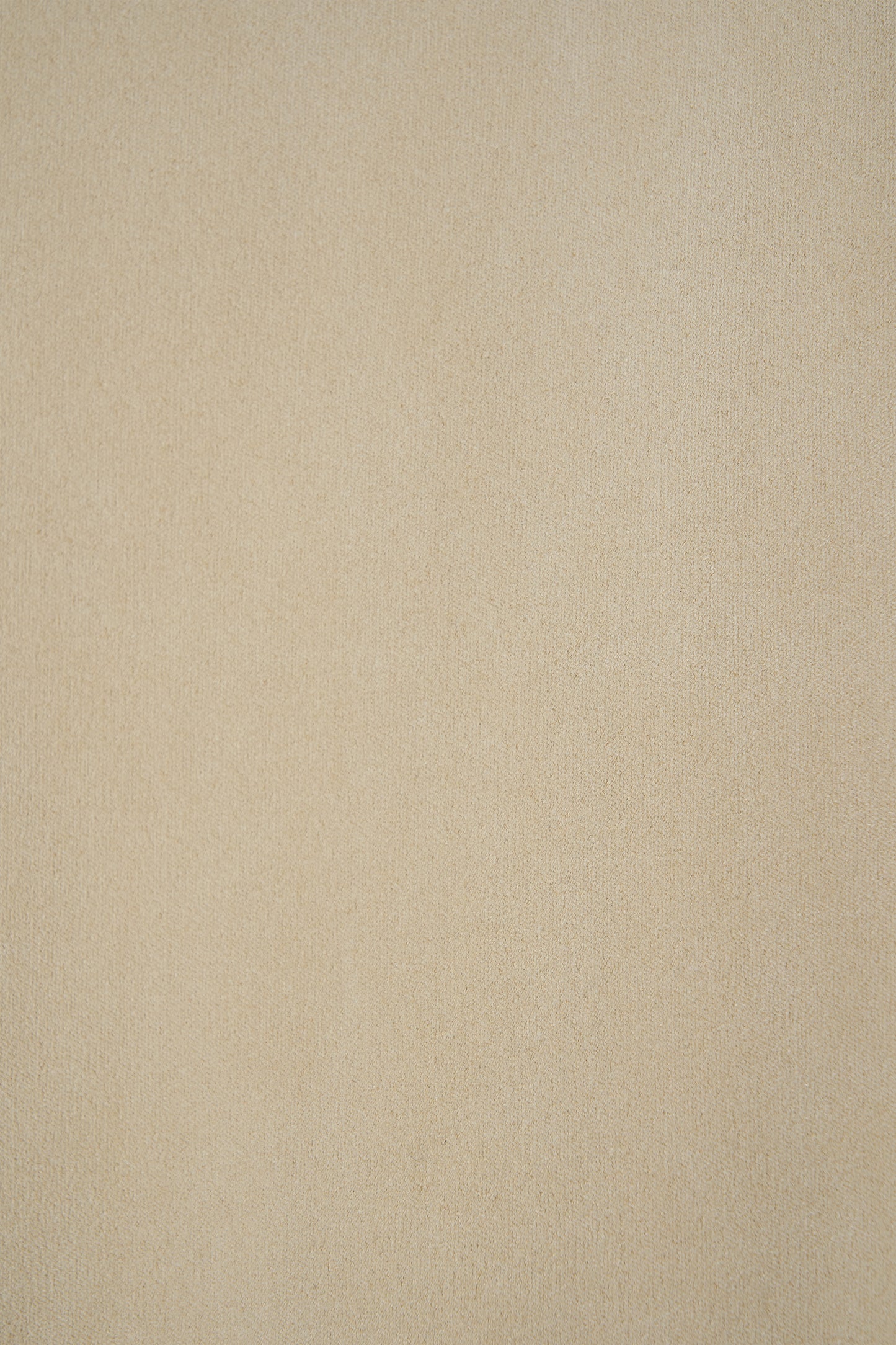 color_beige