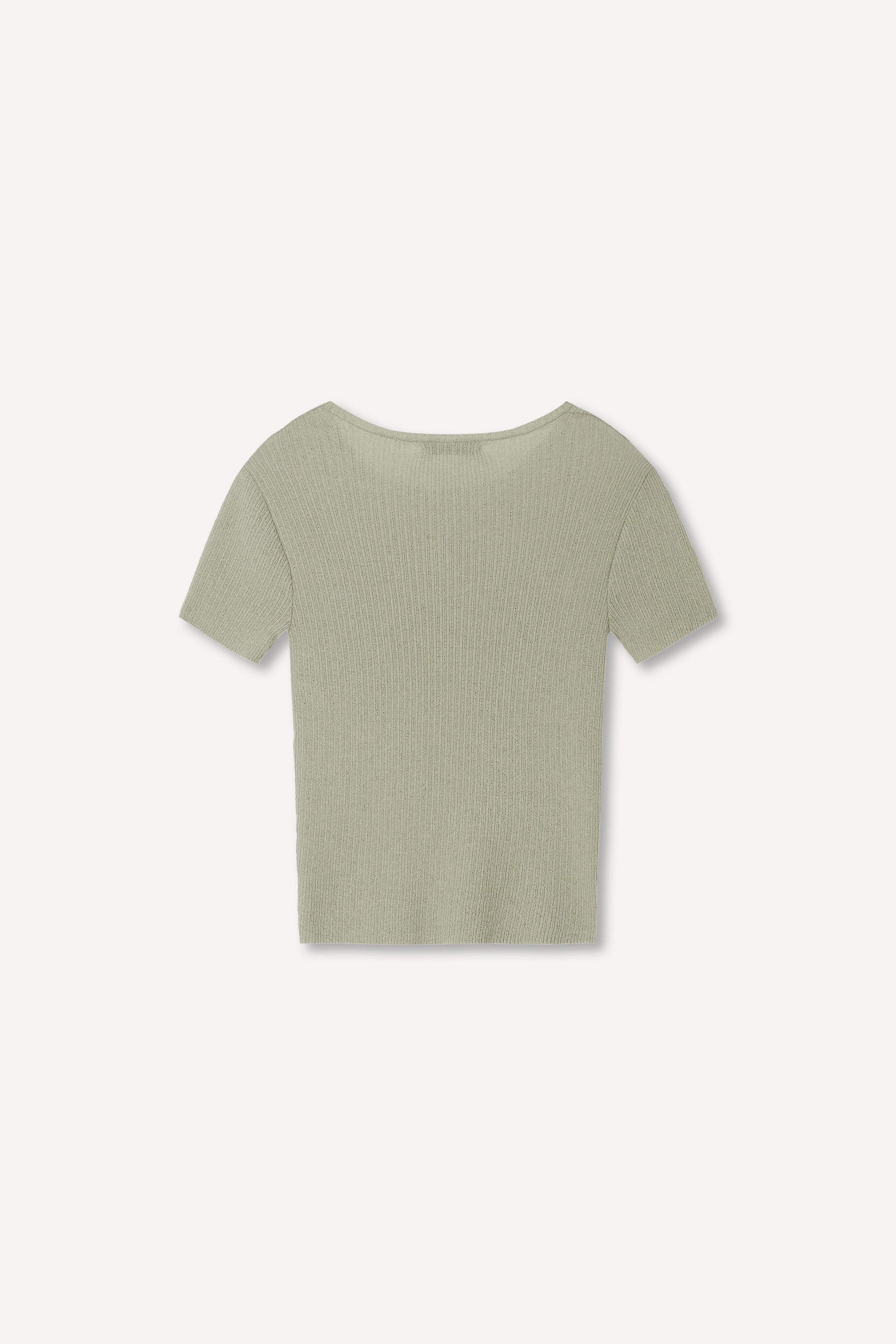 color_pale_olive