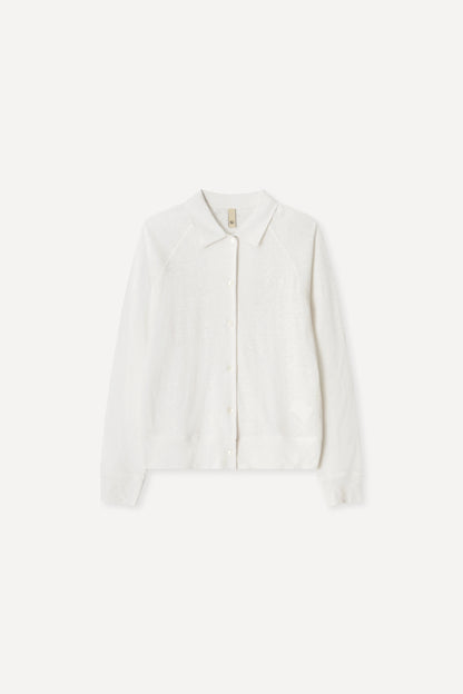 color_ivory