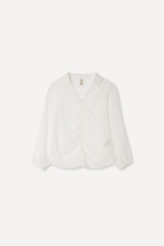 color_ivory