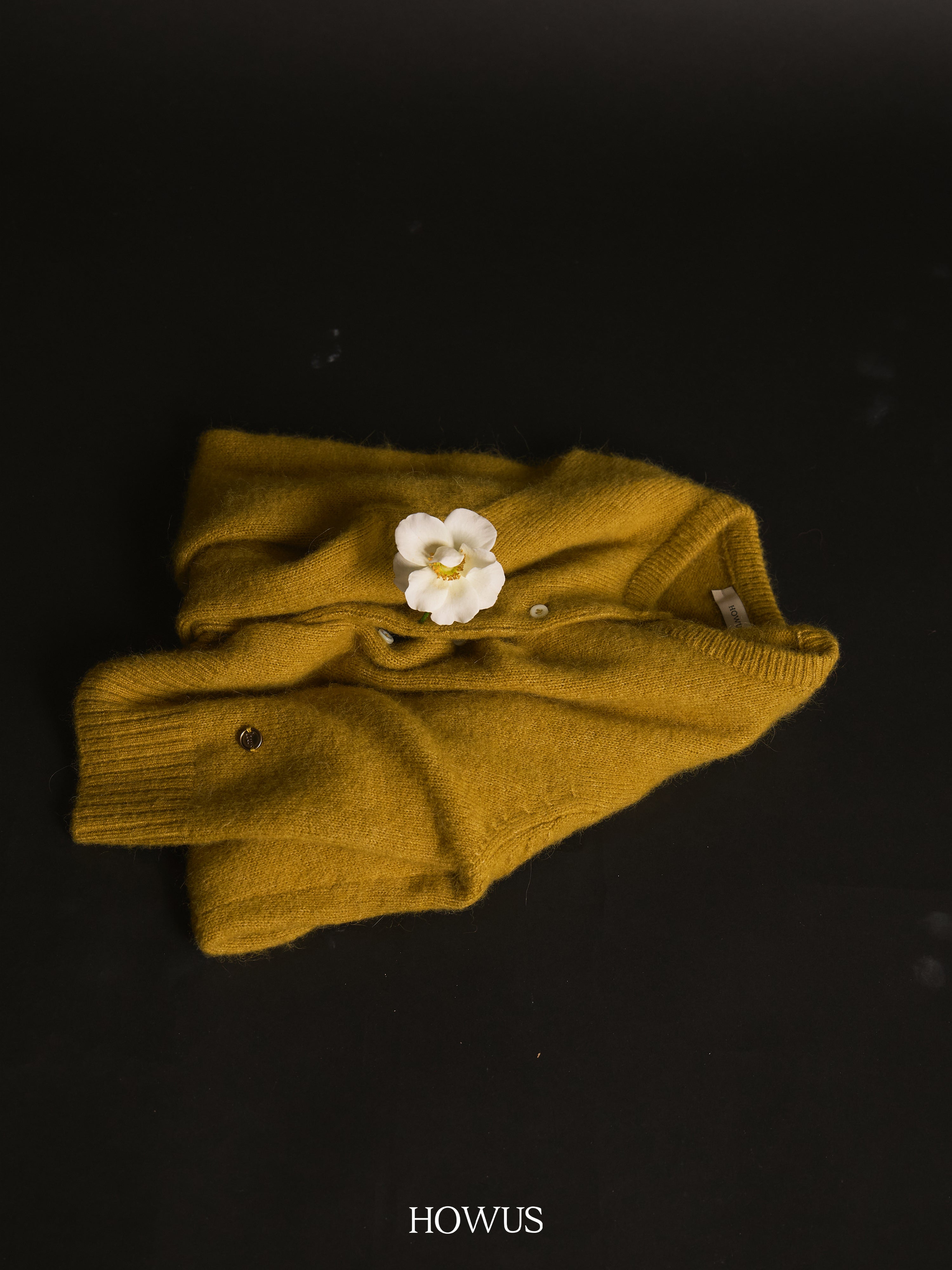 color_olive