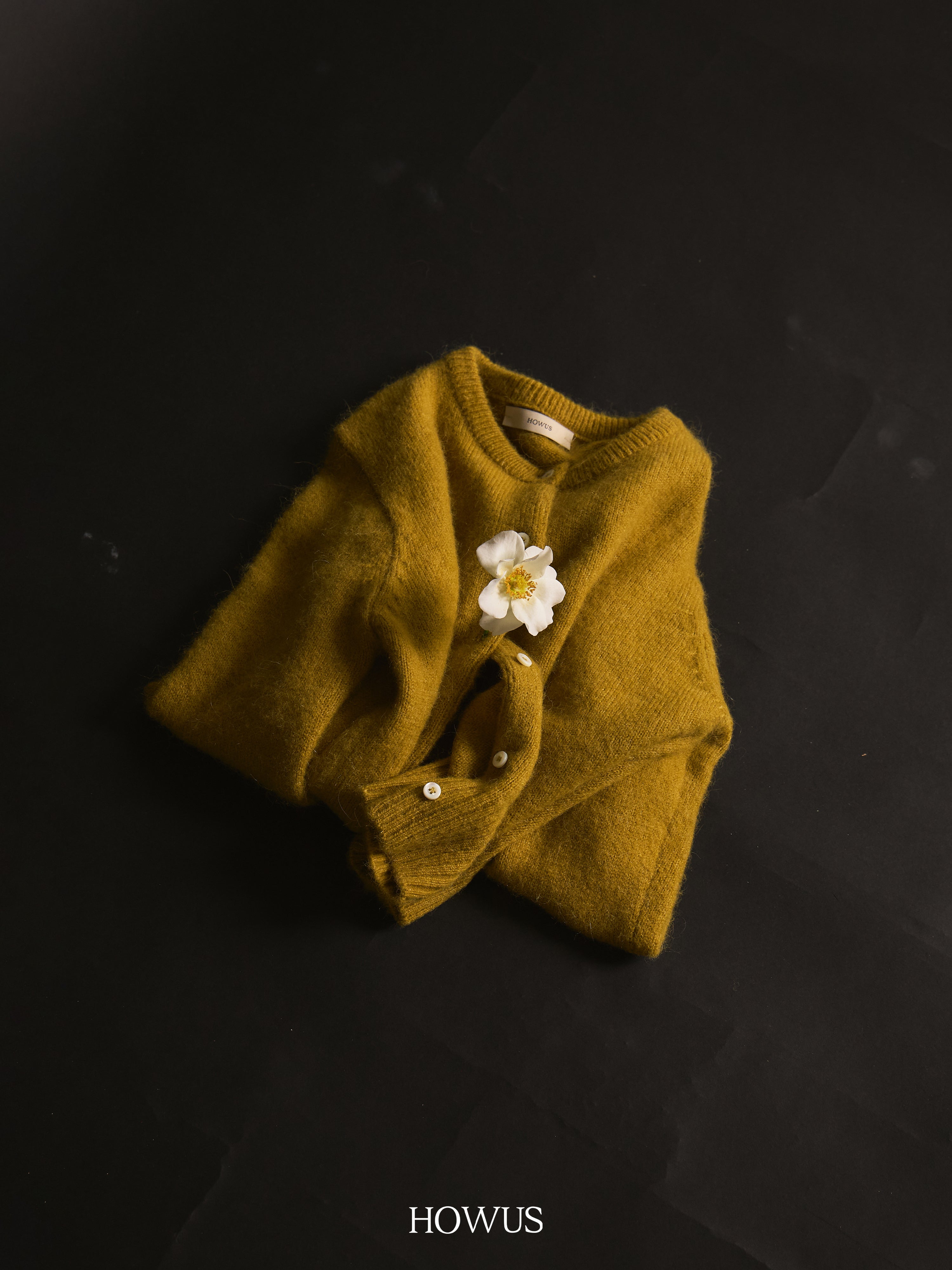 color_olive