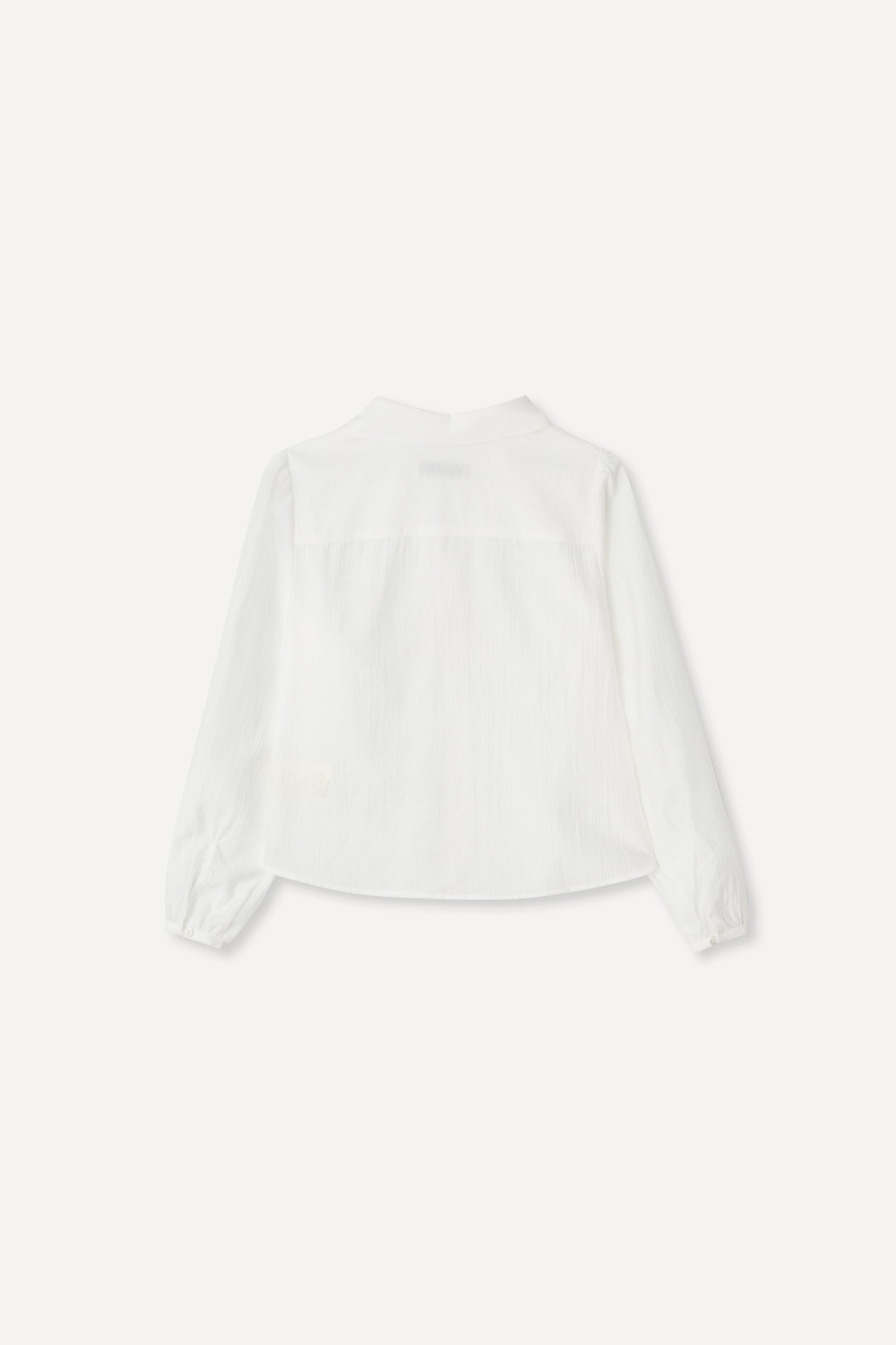 color_ivory
