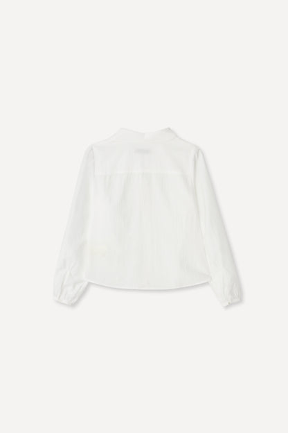 color_ivory