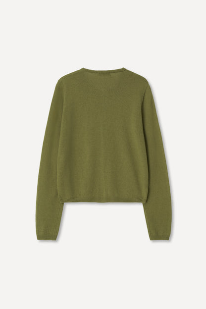 color_olive