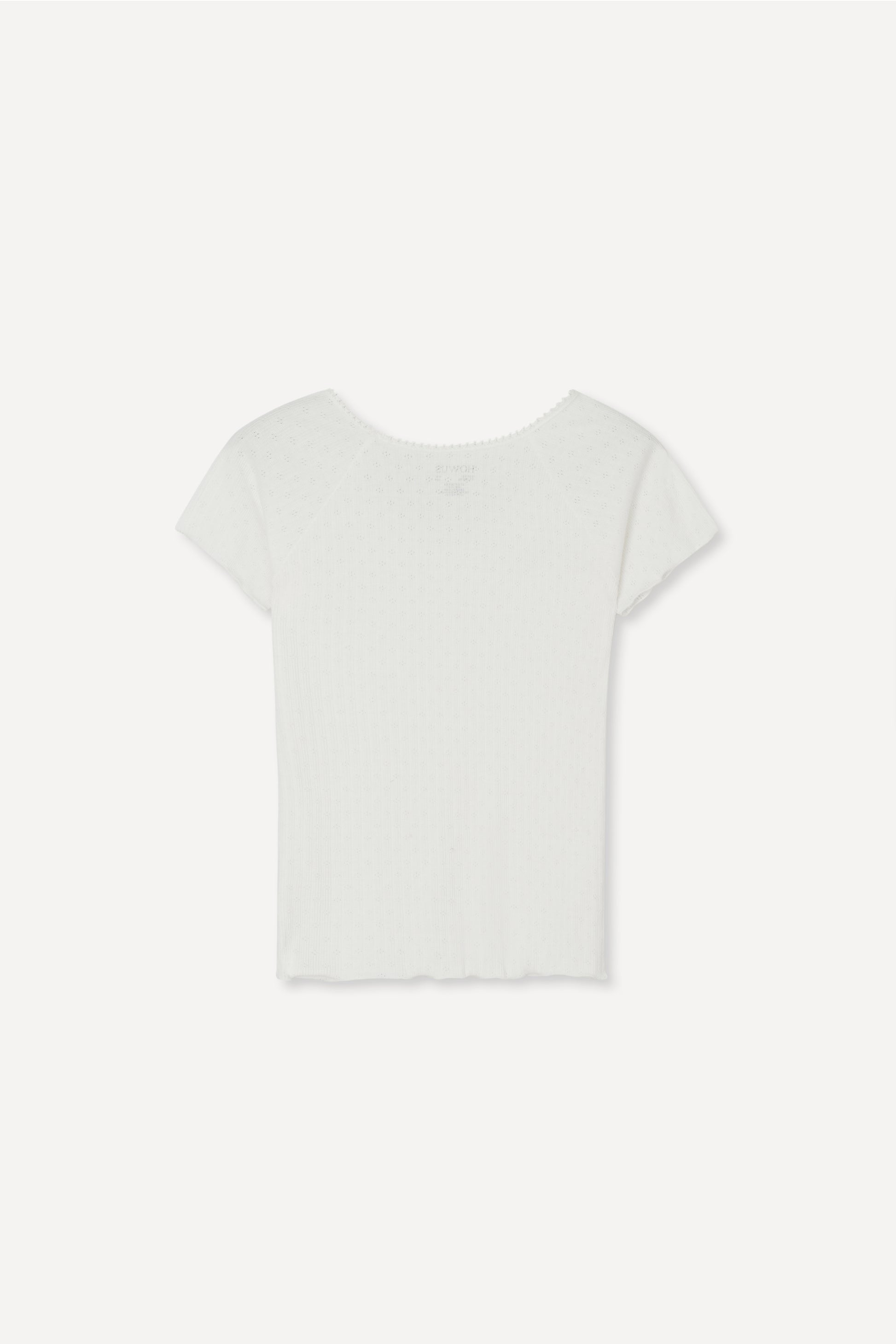 color_ivory