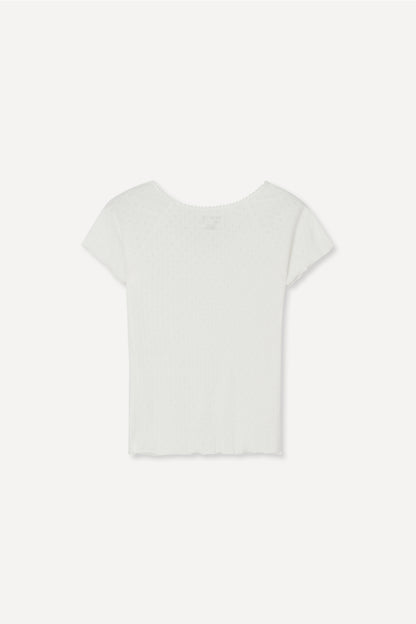 color_ivory