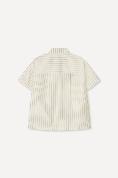 color_ivory