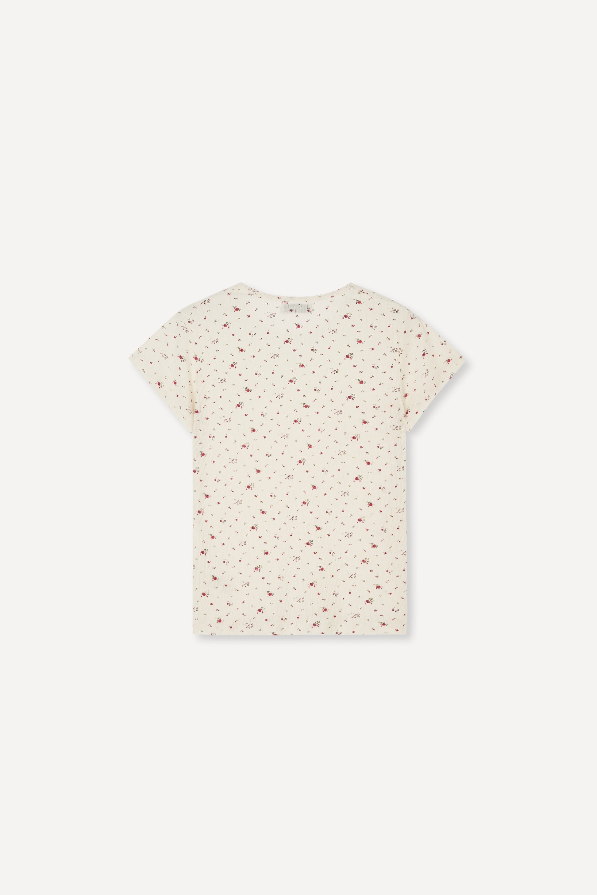 color_ivory