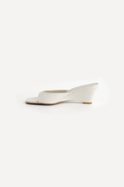 color_ivory