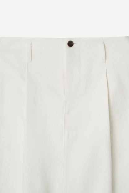color_ivory