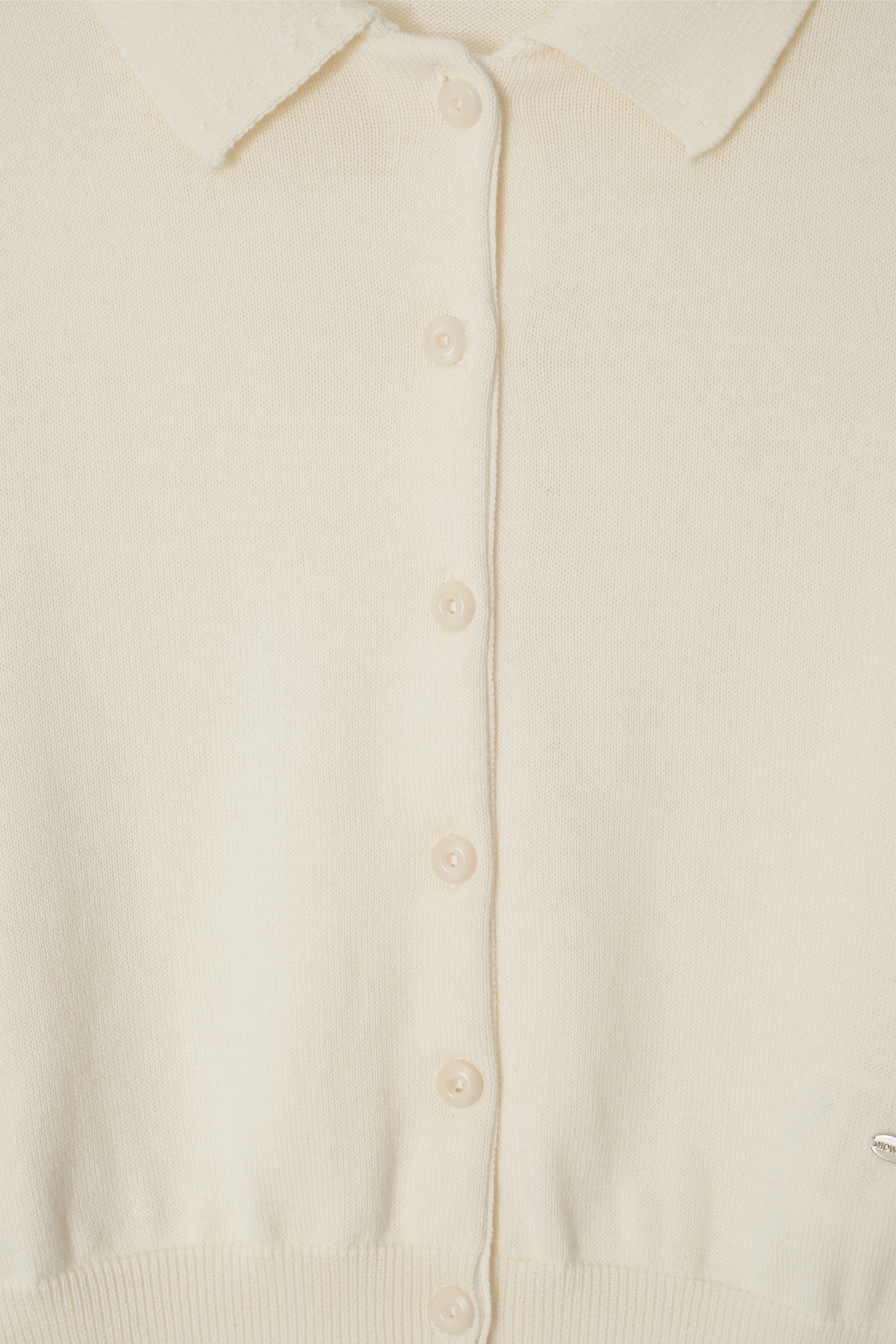 color_cream