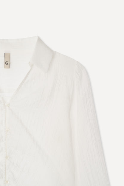 color_ivory