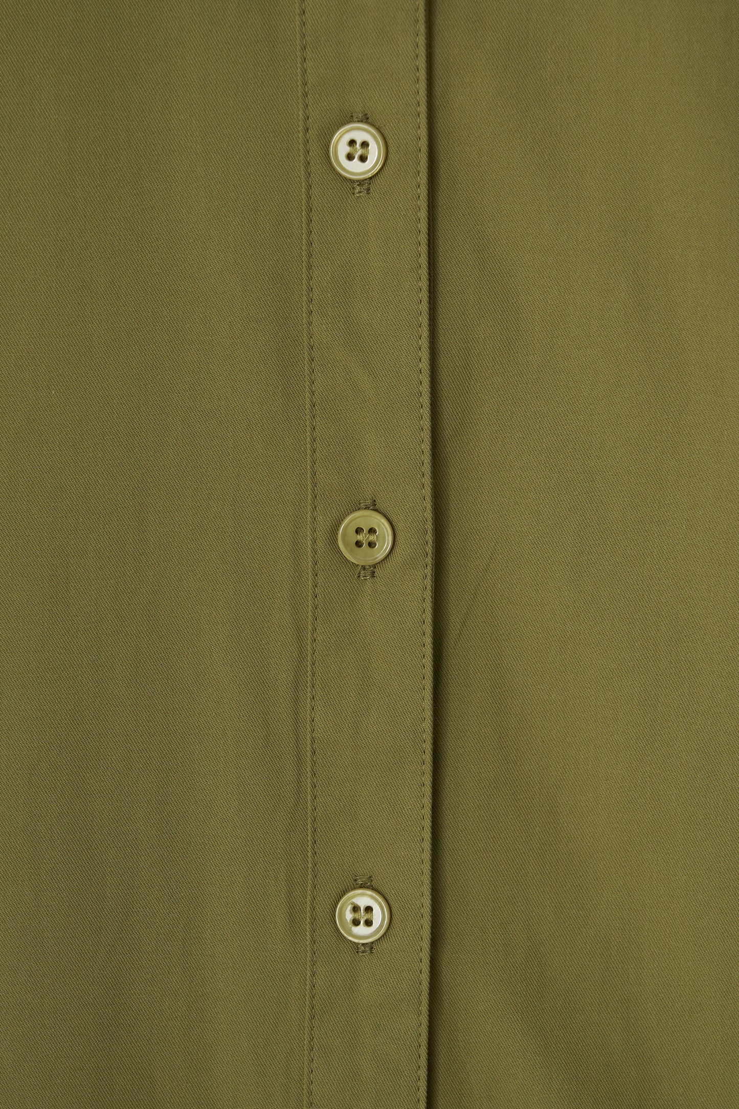 color_olive