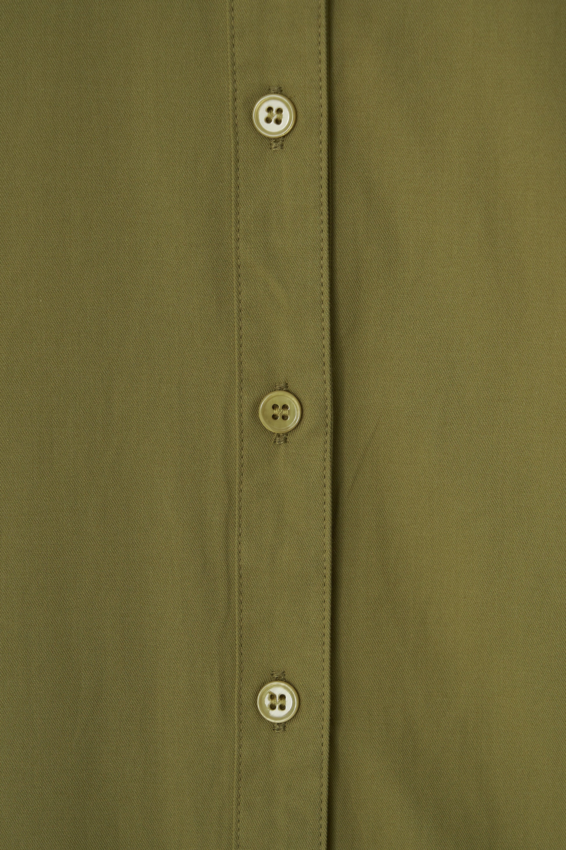 color_olive