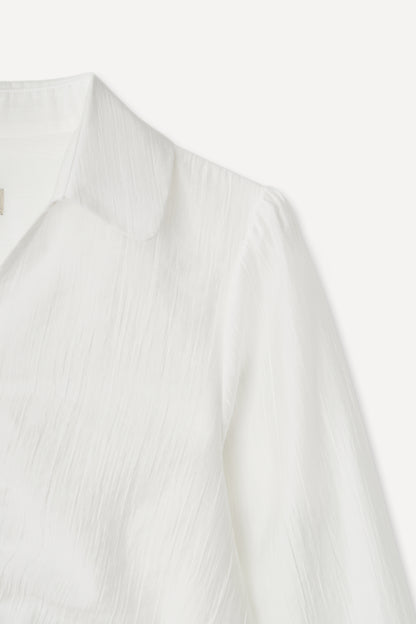 color_ivory