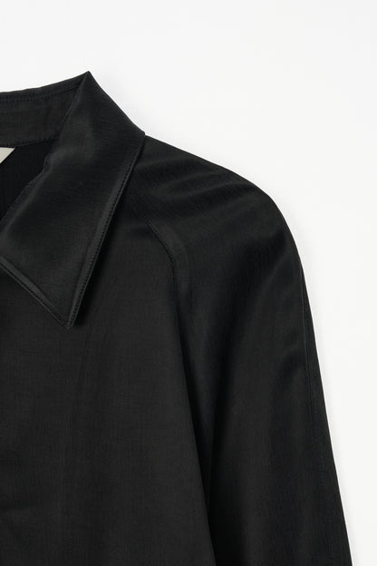 color_ash_black