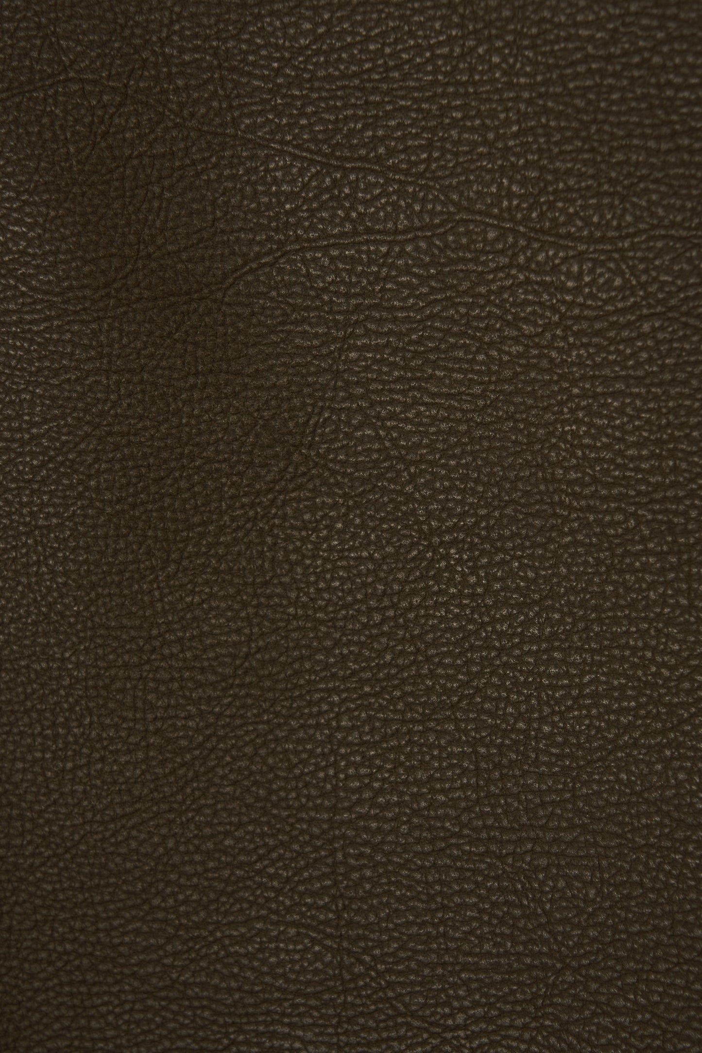 color_khaki