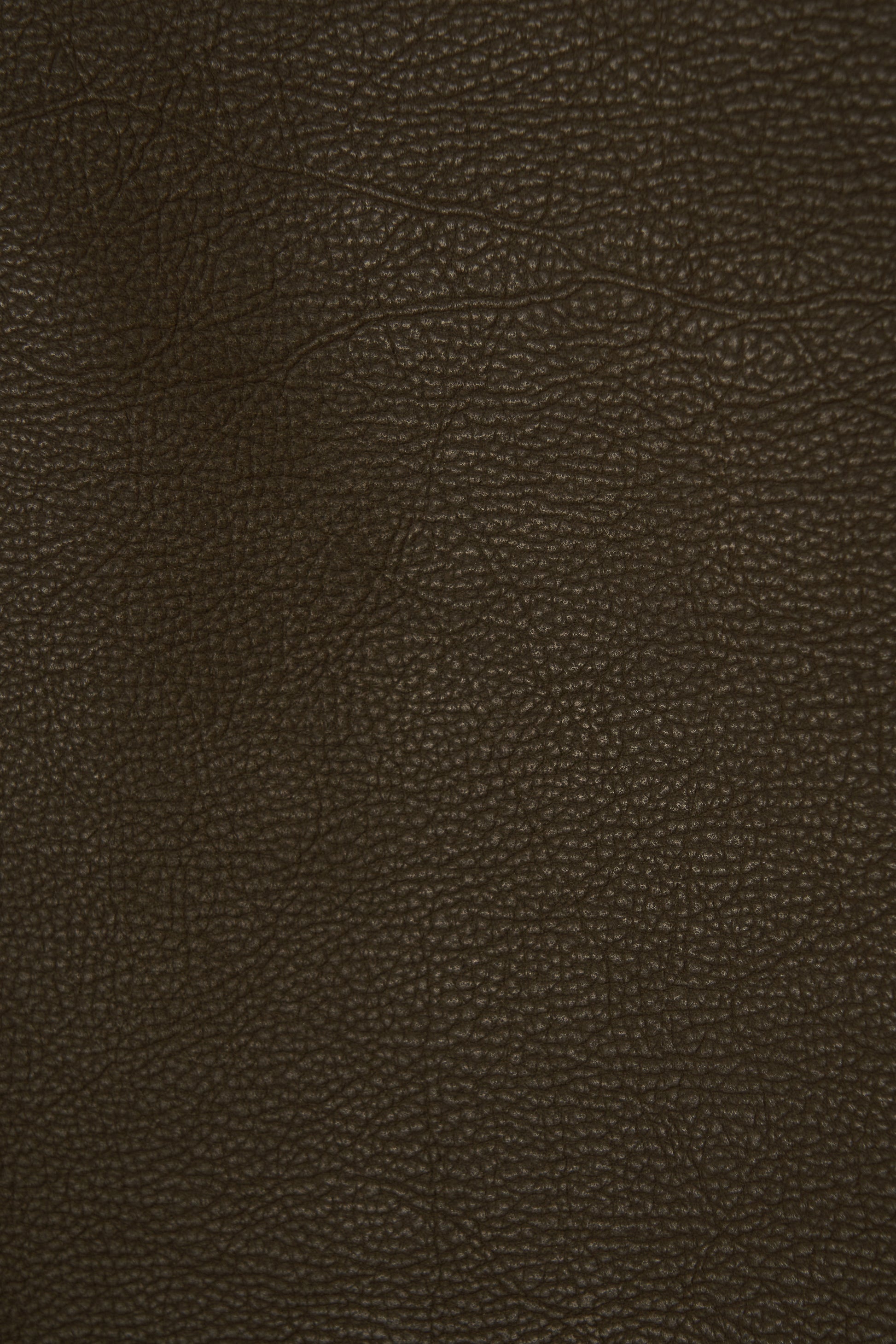 color_khaki