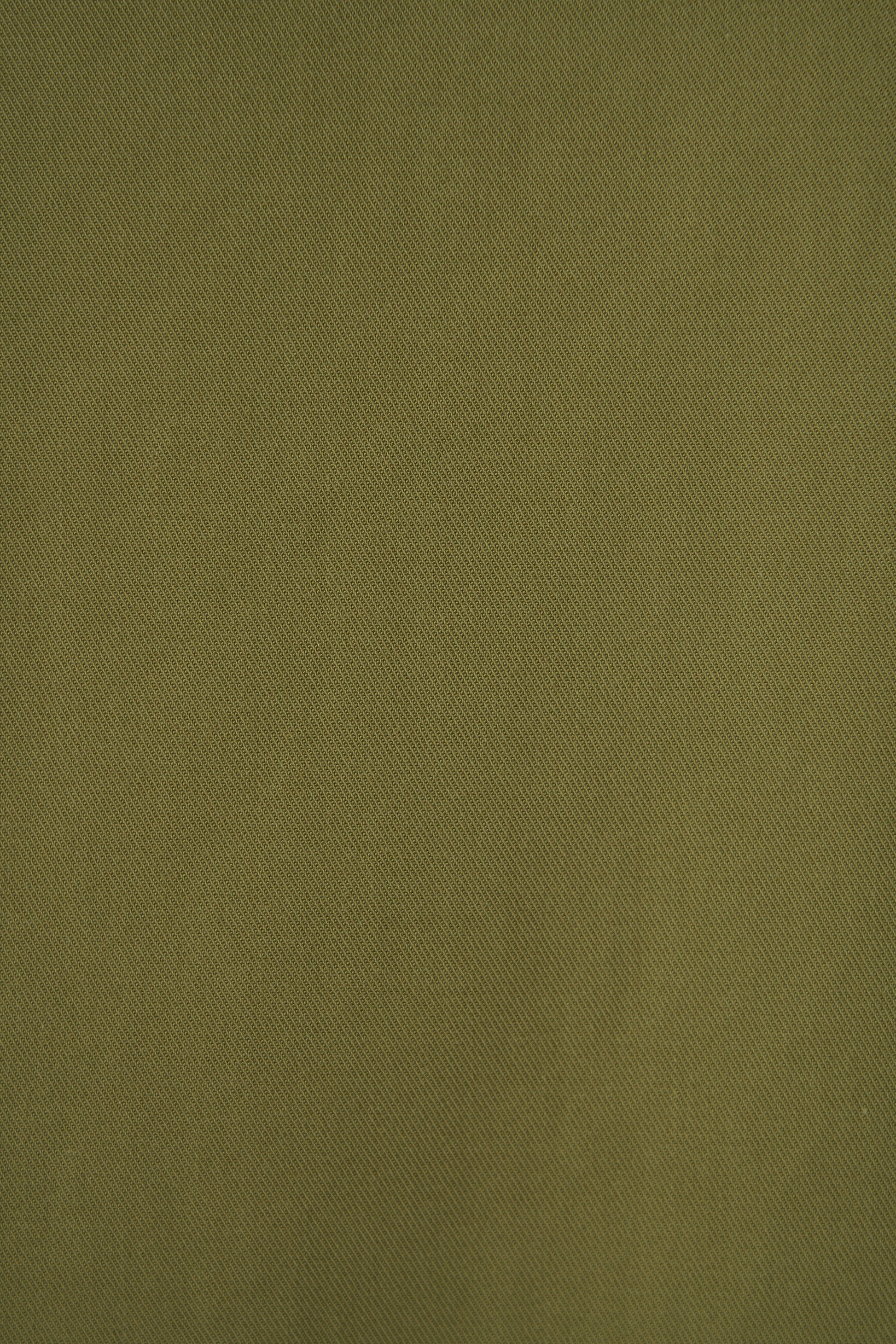 color_olive