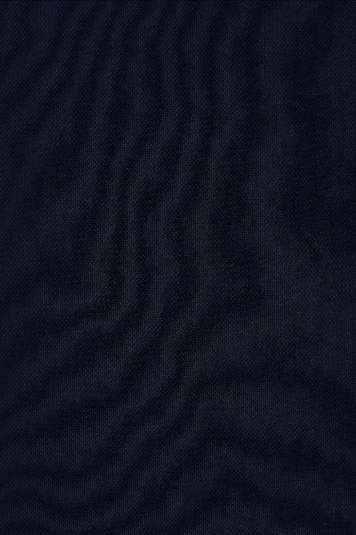color_navy