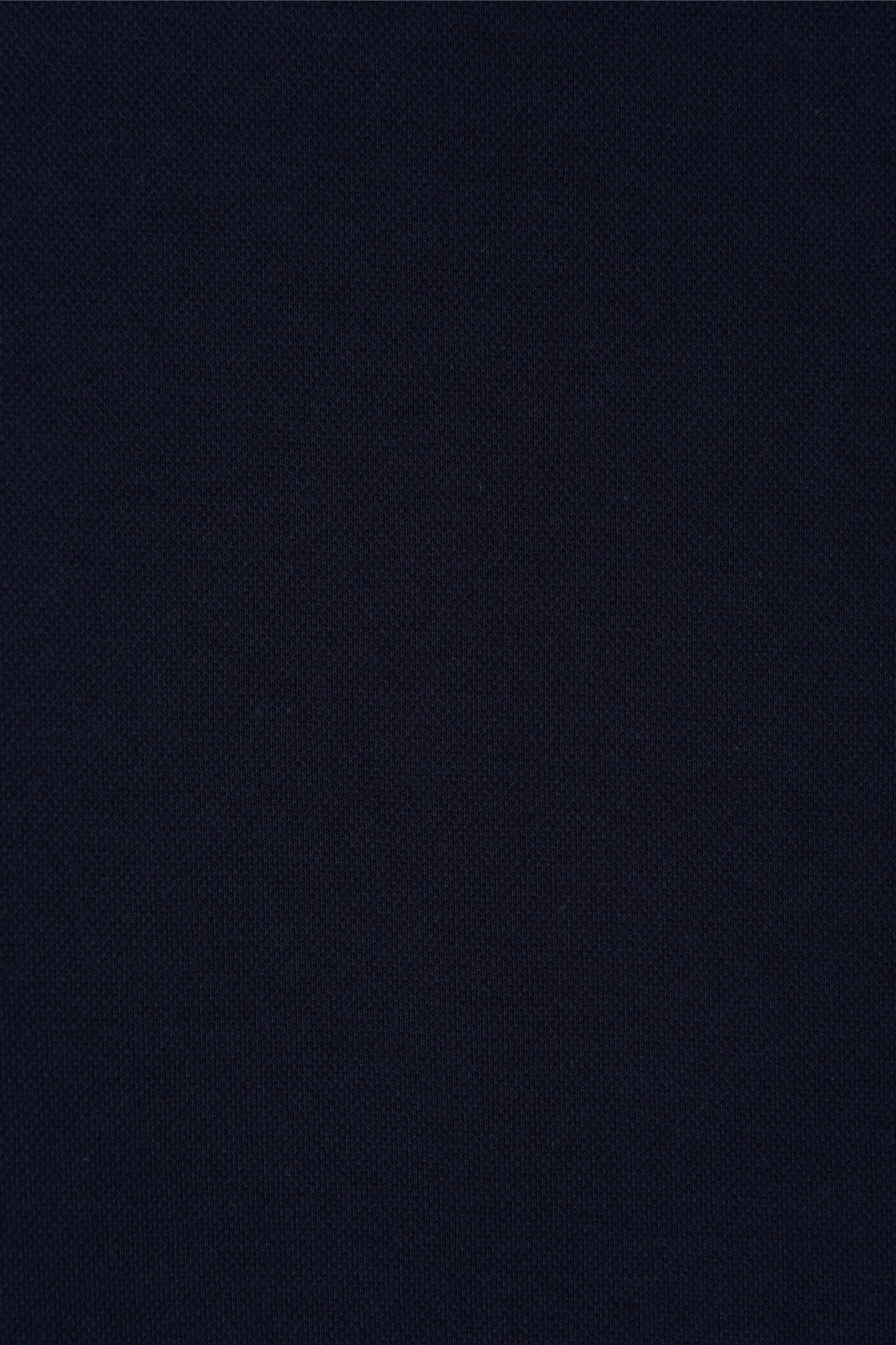 color_navy