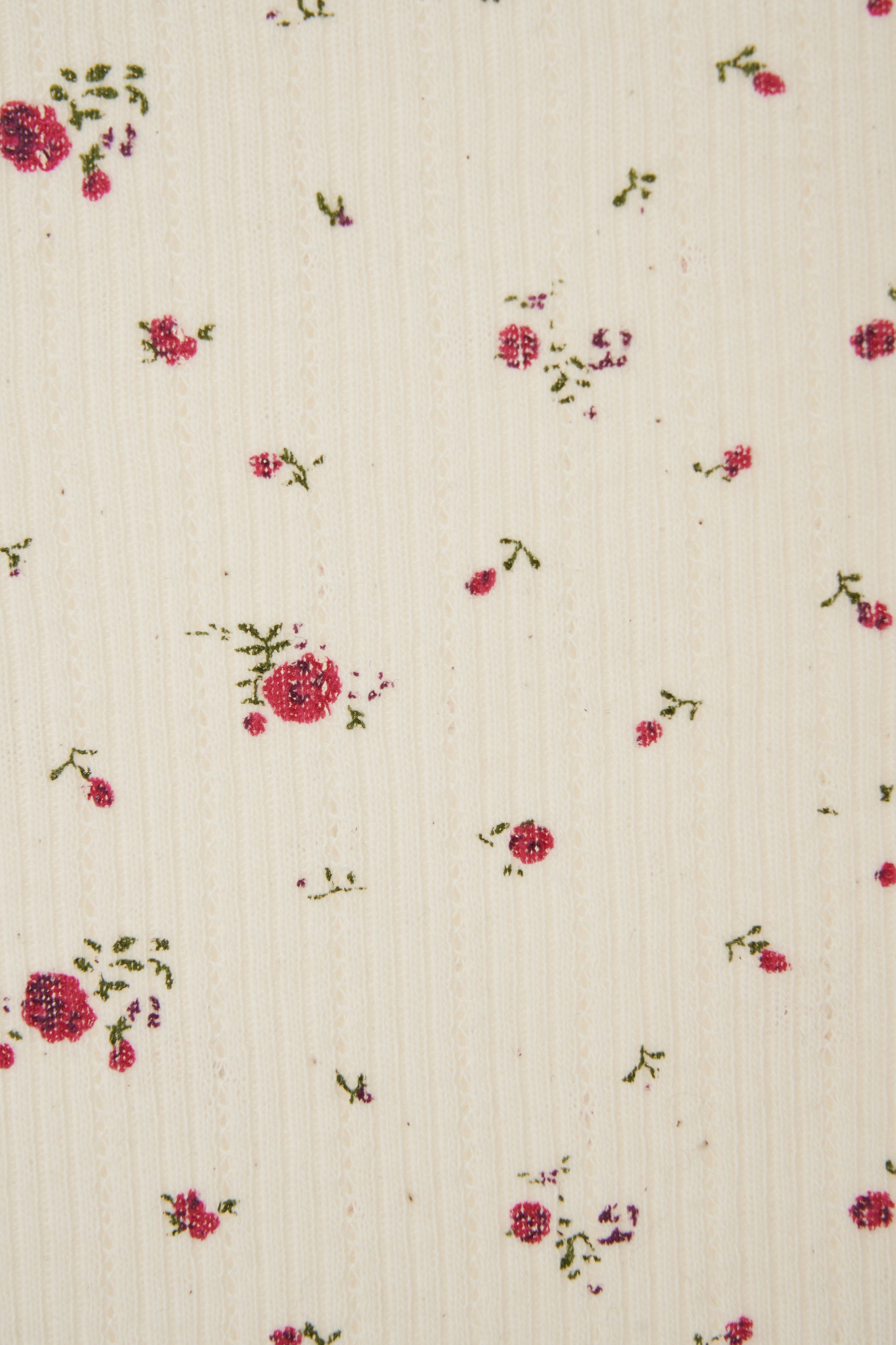 color_ivory