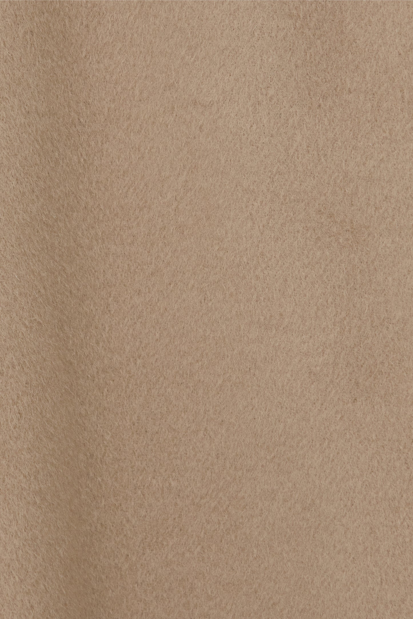 color_camel