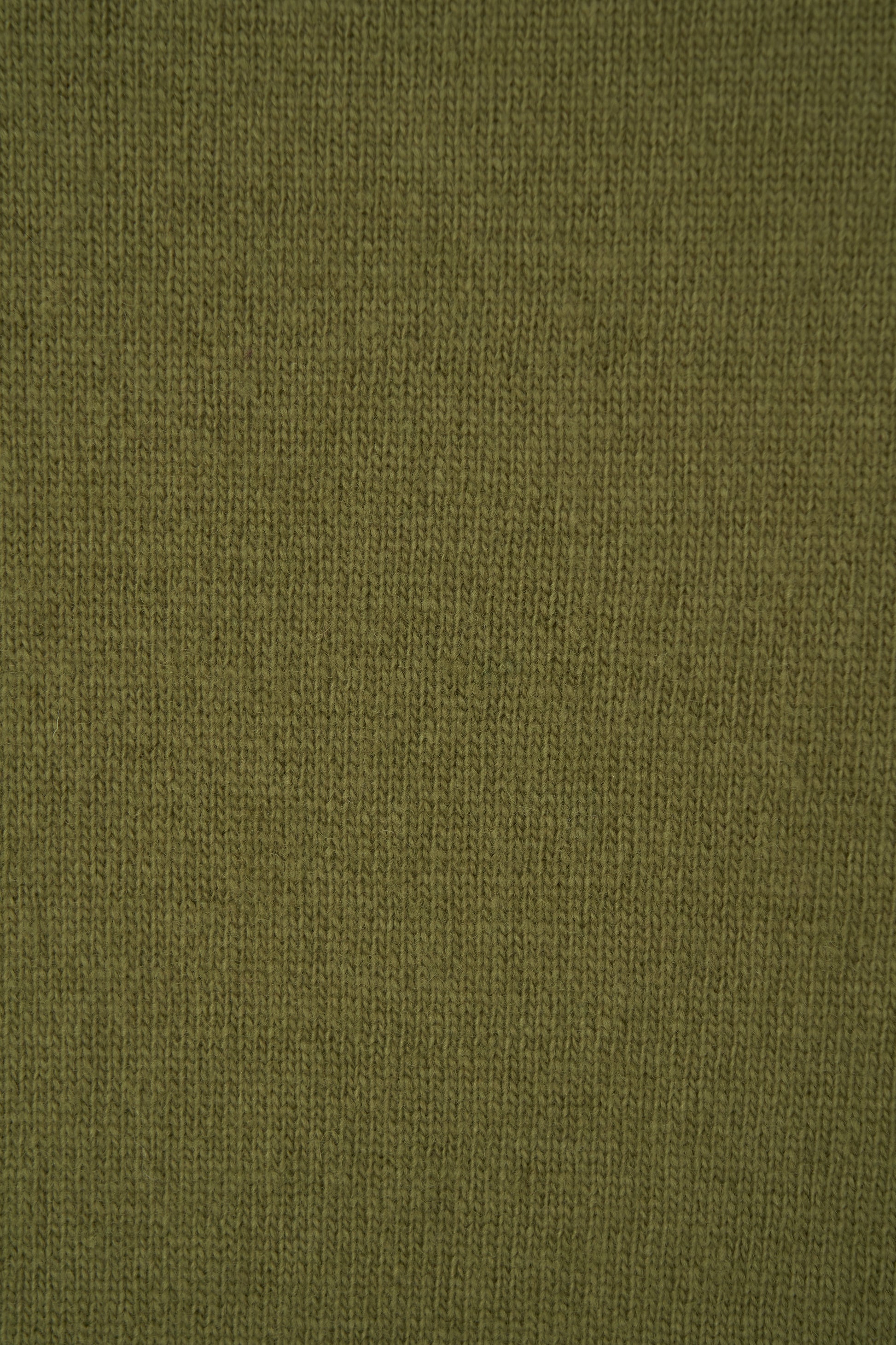 color_olive