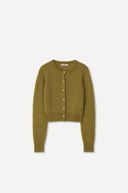 color_olive