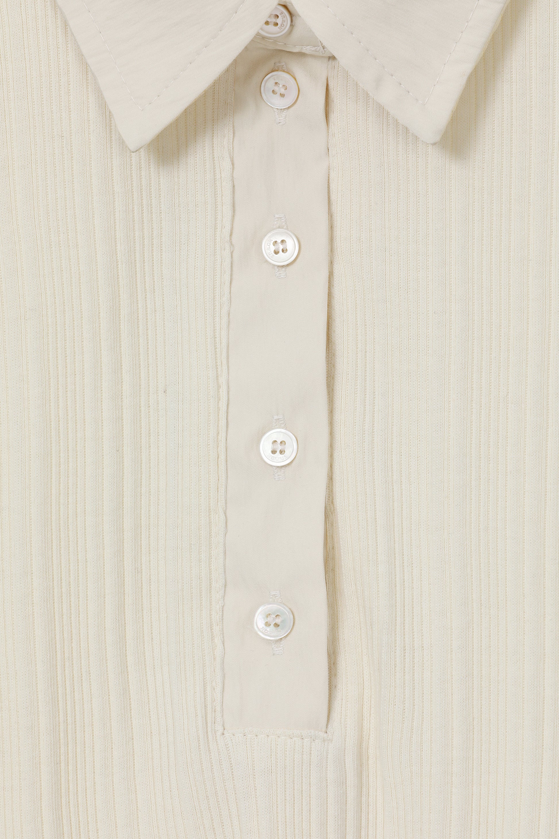 color_cream