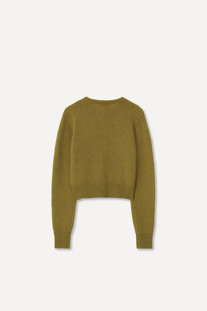 color_olive