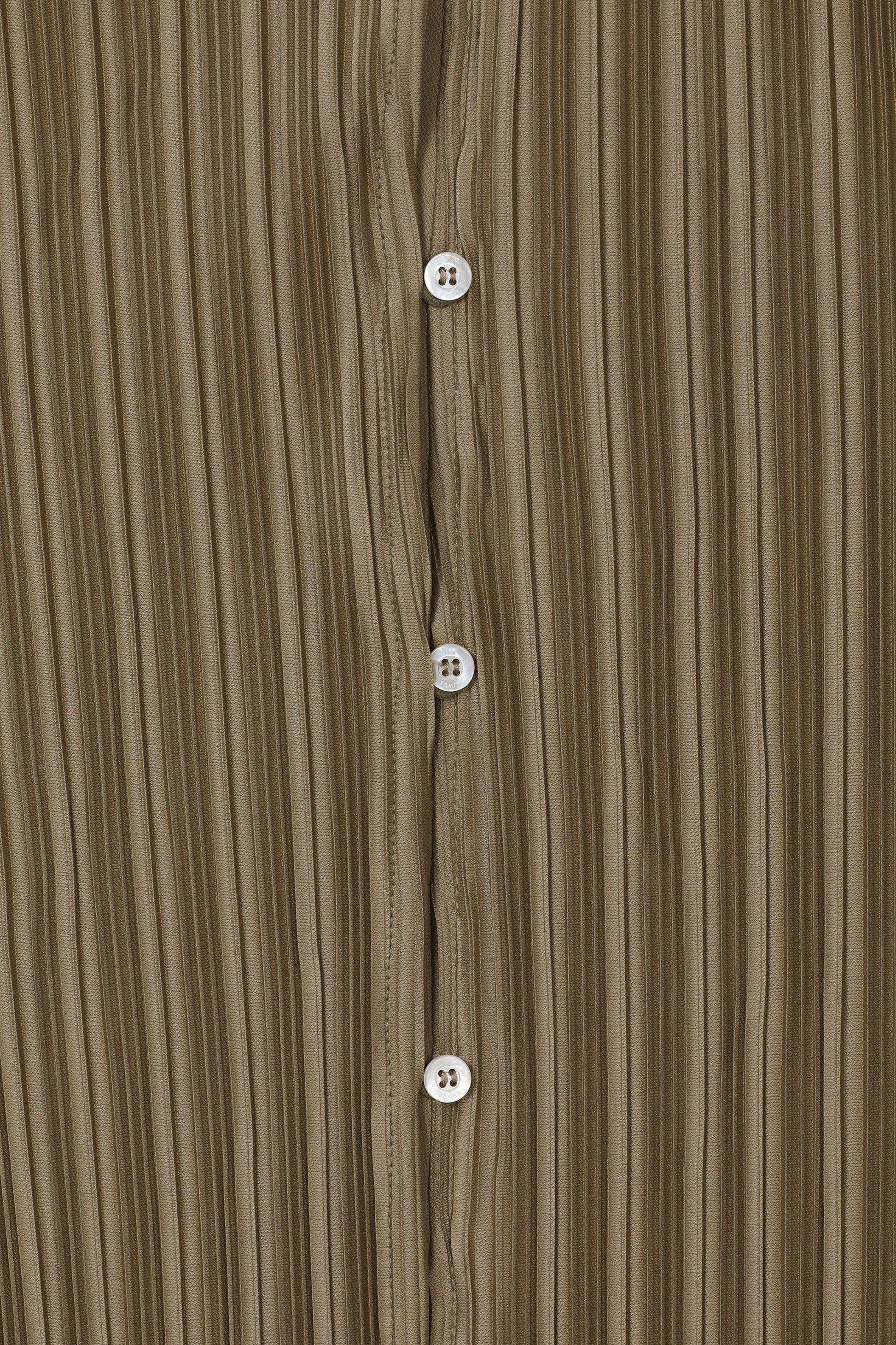 color_olive